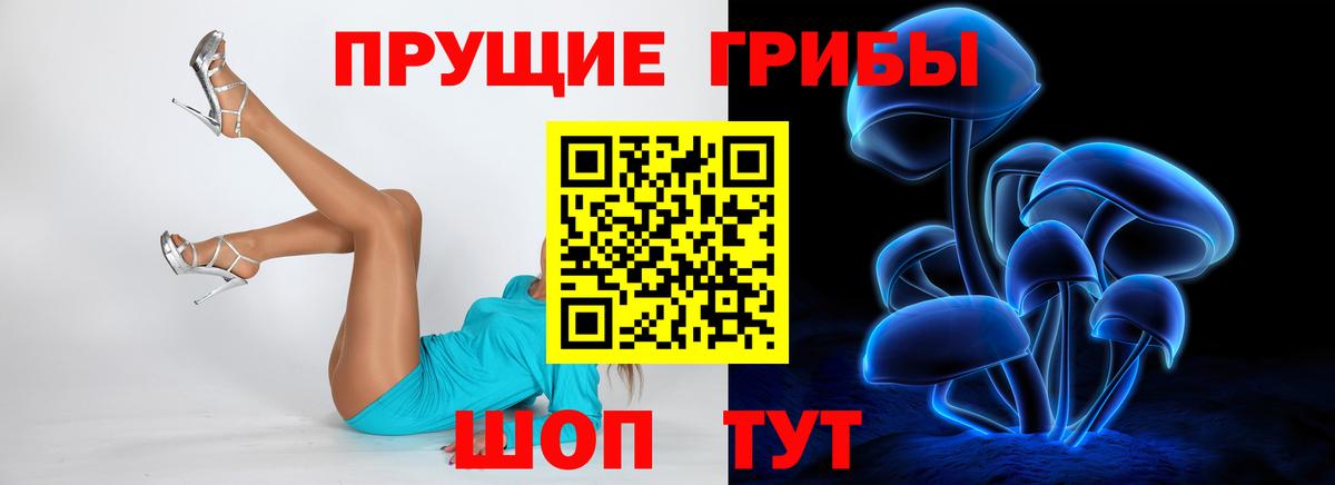 Псилоцибиновые грибы MAGIC MUSHROOMS  Вход с VPN  Большой Камень 